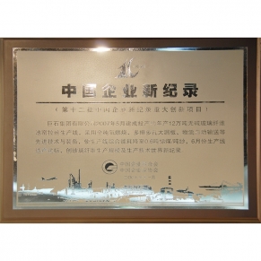 中國企業(yè)新紀(jì)錄第十二批重大創(chuàng)新項目