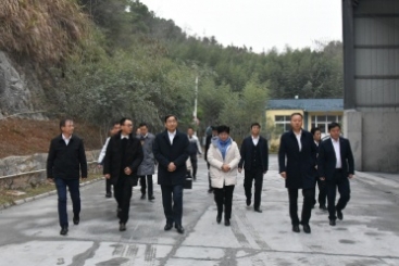 中國(guó)建材集團(tuán)黨委書記、董事長(zhǎng)周育先調(diào)研巨石九江鈣業(yè)公司